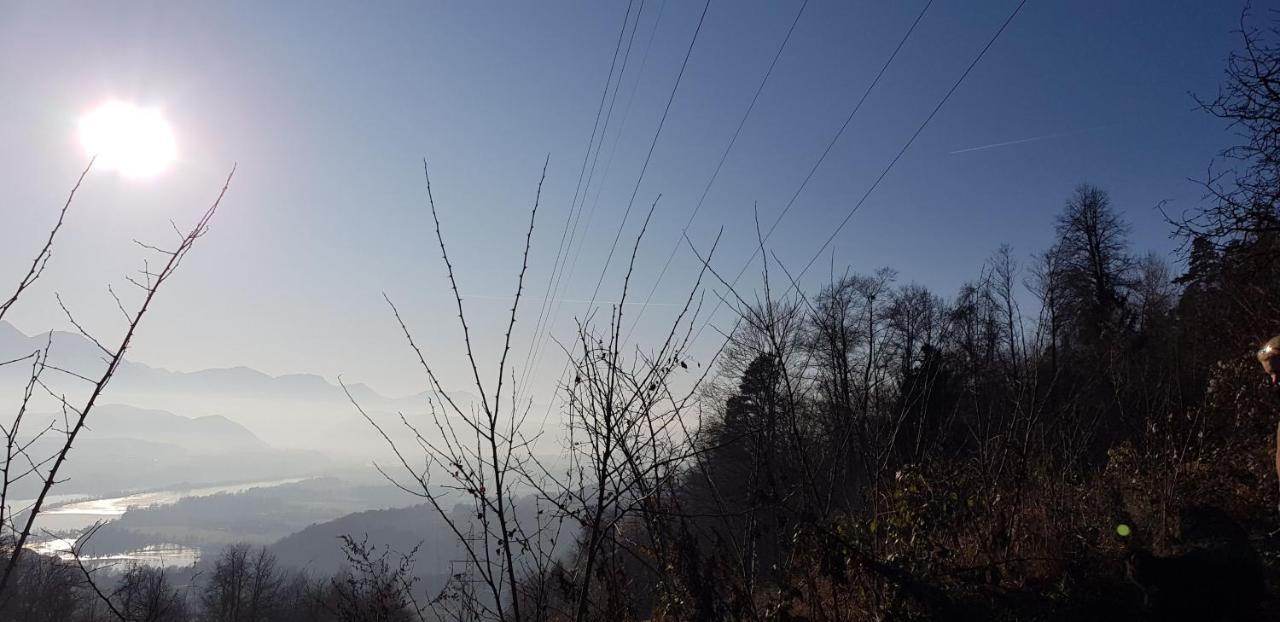 Haus Seidendorf Διαμέρισμα Sankt Kanzian am Klopeiner See Εξωτερικό φωτογραφία