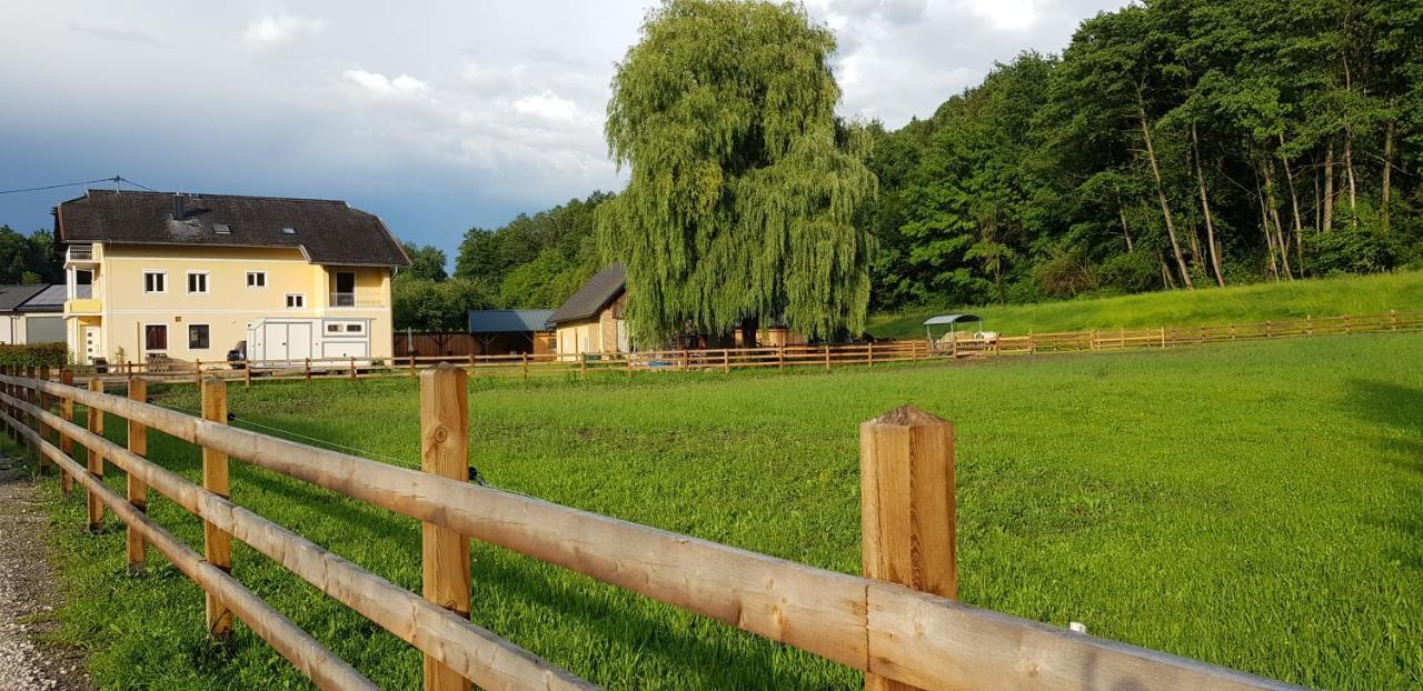 Haus Seidendorf Διαμέρισμα Sankt Kanzian am Klopeiner See Εξωτερικό φωτογραφία