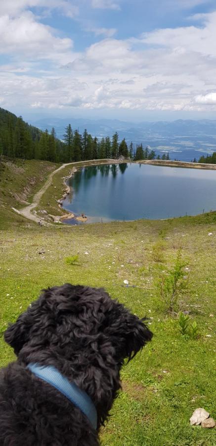 Haus Seidendorf Διαμέρισμα Sankt Kanzian am Klopeiner See Εξωτερικό φωτογραφία